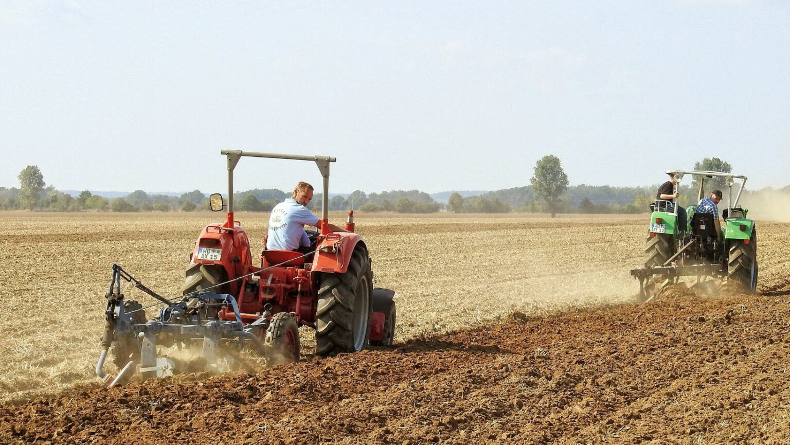 Sustainable Agriculture Trends: What’s Shaping the Future of Farming ...